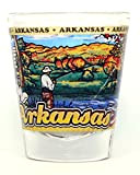 Arkansas State Wraparound Shot Glass by World By Shotglass