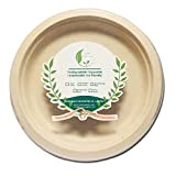 Assiette Jetable de 25 Pièces, Vaisselle écologique en Canne à Sucre 23cm , 100 % Biodégradables et Compostables, Recyclables Vaisselle ...