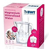 BWT vie manuel Filtre à eau en magnésium + Pack 6 filtres à eau, 2,6 L blanc