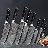 Damascus 67 couches Chef d'acier Couteaux Couteau à os Santoku Couteau à couper le cerveau à couper les couteaux de ...