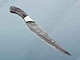 Damascus Steel Custom Made Slicer Kitchen Chef Knife, 8" Long Full Tang Blade with Brass Bolster, 2 Tome Dollar Wood ...