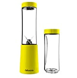 DETOXIMIX - Mini Blender Compact 150W 280ml - Smoothie Milk-shake Jus Fruits ou Légumes - 2 Bouteilles Gourdes avec Couvercle ...