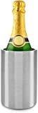 Dimono® Rafraîchisseur de Bouteille Rafraîchisseur de vin Thermo Sektkühler pour Le Champagne, Le vin et Autres (Acier Inoxydable)