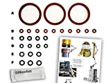 Joint kit/Kit de maintenance (XL) pour serie de DeLonghi ESAM - Infuseur-Groupe & Bloc Thermique - Toriques - TOP Qualité