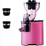 Juicer Machine Juicer for Vegetable and Fruit Slow Masticating Juice Extractor Machine with Quiet Motor Juice Maker Easy to Assemble ...