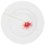 Kahla - Porcelaine pour les Sens 453416A74270A Aronda Fresh Poppy Assiette à Soupe Vert 23 cm