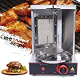 Kebab Machine à Barbecue électrique au Gaz Inoxydable 220 V Gaz de Pétrole Liquéfié Rôtissoire Verticale Machine à Kebab Pour ...