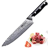Kitchen Emperor Couteau de Cuisines, Couteau Professionnel Chef, 67 Couche Acier Couteaux Damas avec poignée G10