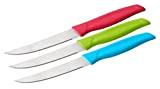 NIROSTA 43205 FACKELMANN Couteau à légumes Tropical en plastique/acier inoxydable Corail/vert/bleu 21 cm