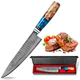 oFuun Couteau de Chef en Acier Damas 67 Couches, Couteaux Japonais Professionnelle, Lame de 20cm Ergonomique Résine Bleue Handle avec ...