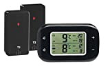 Rosenstein & Söhne thermomètre de réfrigérateur: Thermomètre numérique pour réfrigérateur et congélateur, 2 capteurs sans fil, le noir (thermomètre de ...