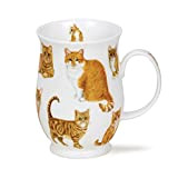 SU-Cats-GI Ginger Cats Staffordshire Tasse en porcelaine fine Forme Suffolk 0,31 l