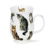 SU_Cats-TA Mug en porcelaine fine Motif chats tigrés Staffordshire 0,31 l