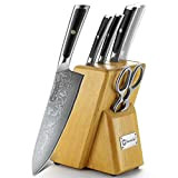 Sunnecko Bloc Couteaux Cuisine,4pcs Couteaux Damas Couteaux Japonais Lame en Acier Damas 67 Plis VG-10 Fourré Set Couteau Cuisine + ...