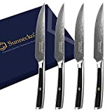 Sunnecko Couteau a Steak Couteaux de Table 4pcs Lame Acier Damas, Couteau de Table pour Steak Viande Dessert 4 Personnes, ...