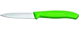 Victorinox Couteau SwissClassic, acier inoxydable, vert, médian