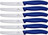 Victorinox Swiss Classic 6 Pièces Couteau à Tomates avec Tranchant Denté, Lame de 11 cm, Lavable au Lave-Vaisselle, Bleu