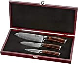WAKOLI Edib Ensemble de 3 couteaux damassés en acier damassé japonais véritable 67 couches I Set de couteaux de cuisine ...