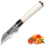 WILDMOK Couteau Bec d'Oiseau Fait Main, Couteau à Éplucher Couteaux à Fruits - Souper Damas Acier - Lame 7,3cm - ...