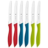WMF Classic Line Lot de 6 couteaux à petit-déjeuner à lame dentelée en acier spécial avec manche en plastique Multicolore ...